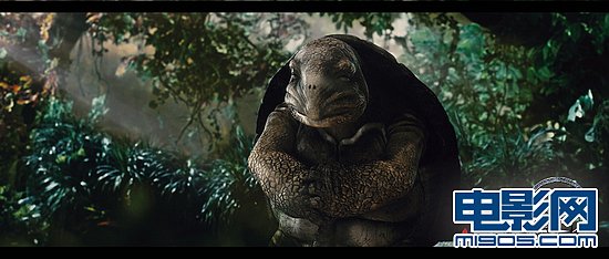 �����ߴ�˵������